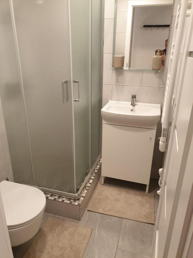 Studio Rent In Zarasai Exterior photo